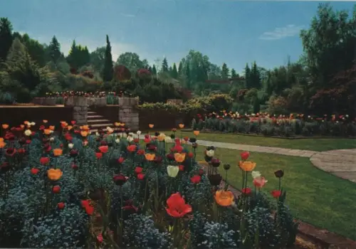 Italien - Italien - Pallanza - Giardini di Villa Taranto - ca. 1980