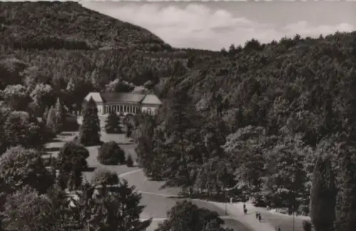Bad Wildungen - Kurpark mit Wandelhalle - 1957