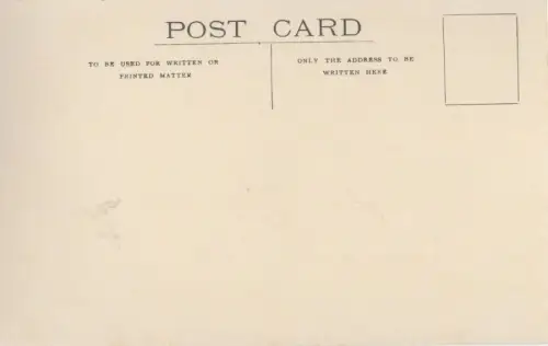 Neuseeland - Neuseeland - Neuseeland - typical scene