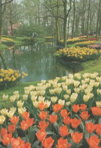 Niederlande - Niederlande - Keukenhof - Lisse-Holland - ca. 1975