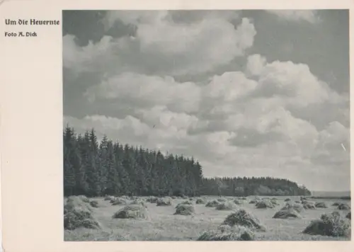 Landwirtschaft - Um die Heuernte - ca. 1950