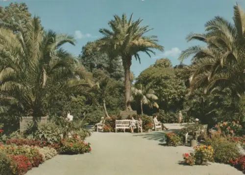 Bad Pyrmont - Palmengarten - ca. 1980
