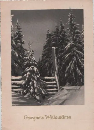 Gesegnete Weihnachten Winterbild