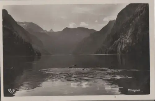 Königssee - vom Malerwinkel - ca. 1950