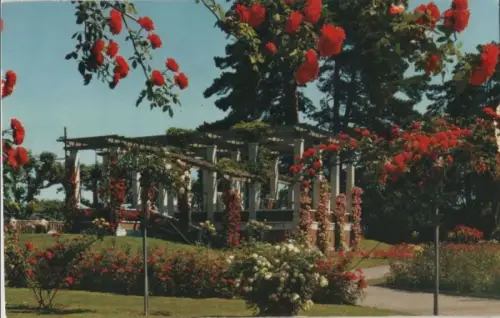 Schweiz - Genf / Genève - Schweiz - La Roseraie