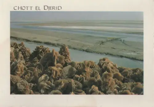 Tunesien - Tunesien - Chott el Djerid - ca. 1975