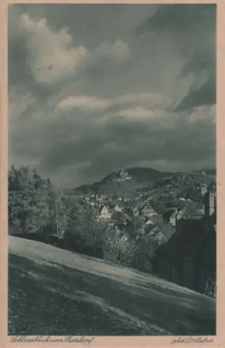 Wernigerode - Schlossblick vom Ratskopf - ca. 1950