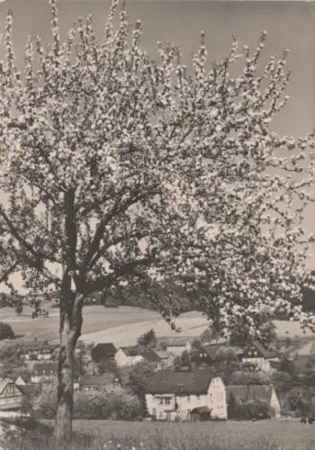 Pfingstgrüße - 1968