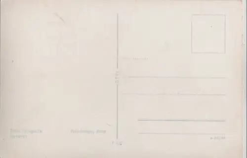 Inselsberg - Panorama