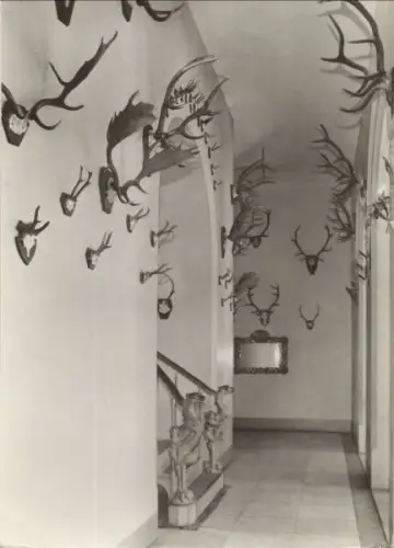 Binz - Jagdschloss, Wandelgang