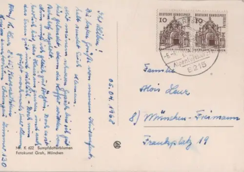 Sumpfdotterblumen blühend