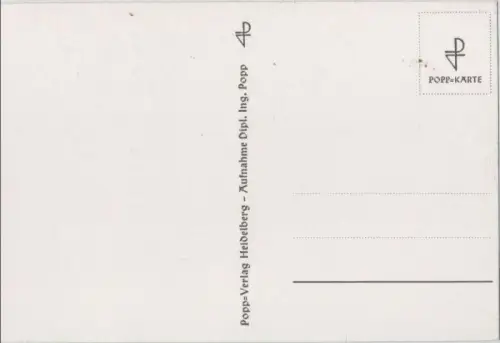 Wiesenblumen blühend