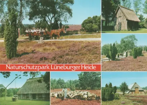 Lüneburger Heide - ca. 1995