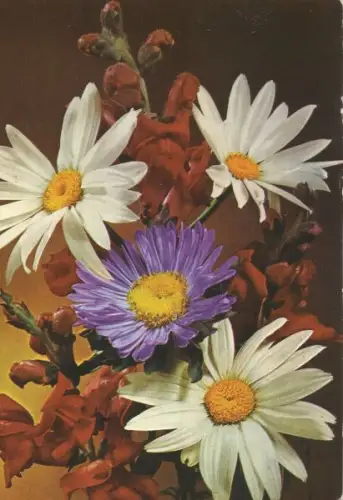 Geburtstagsgrüße Blumen