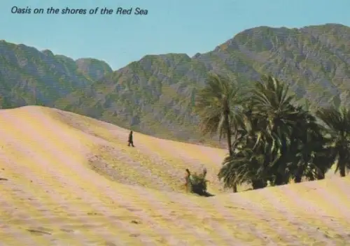 Israel - Israel - Neviot - Oase am Roten Meer - ca. 1985