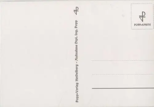 schwarzweiß zwei Rosen