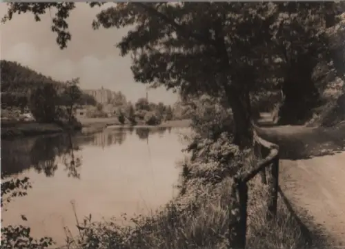 Nossen - Partie an der Freiberger Mulde - 1965