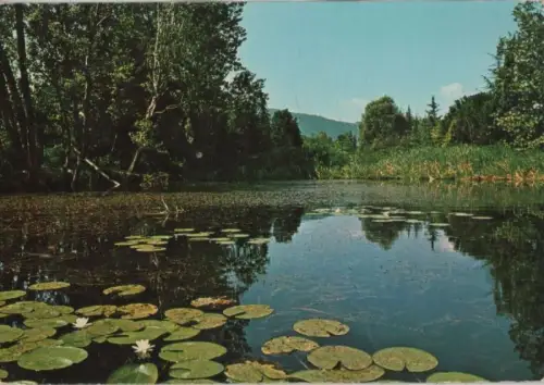 Italien - Italien - Iseo - Le Torbiere - 1979