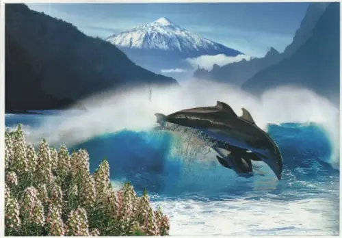 Spanien - Teide - Spanien - Delefine