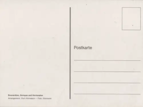 Bouvardien Arrangement