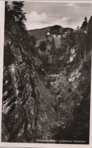 Weißbachtal - Schlucht, Gasthaus Mauthäusl - ca. 1955