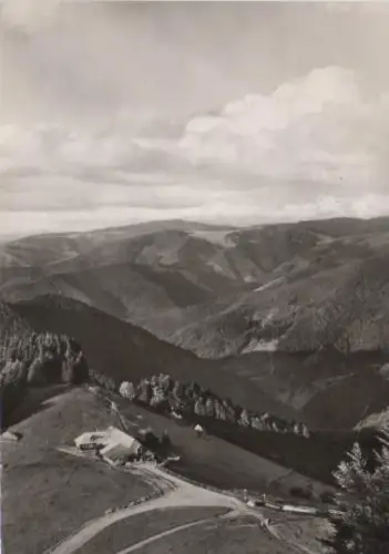 Untermünstertal, Almwirtschaft Kälbelescheuer - 1967