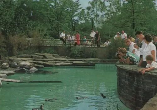 Essen - Bundesgartenschau, Seehundbecken - 1965