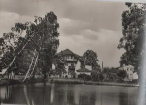 Bad Schandau Ostrau - Ostrauer Scheibe - 1963