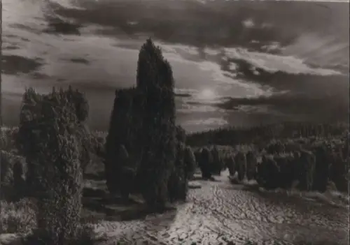 Lüneburger Heide - Abendstimmung - ca. 1955