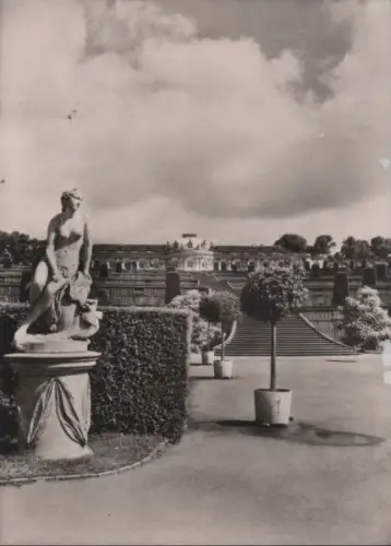 Potsdam, Sanssouci - u.a. Schloß mit Weinbergterrasse - ca. 1965