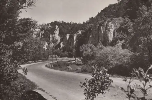 Polen - Ojcowski Park Narodowy - Polen - Na szosie w Ojcowie