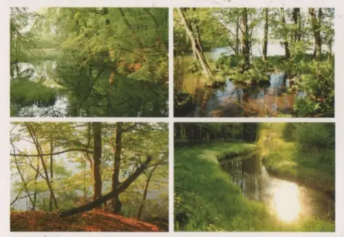 Wald und Waser - ca. 2000