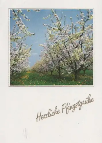 Herzliche Pfingstgrüße - 2004