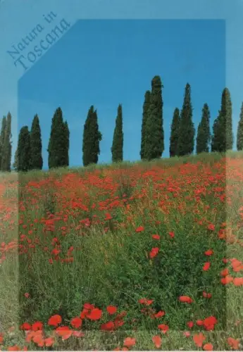 Italien - Toscana - Italien - Natura