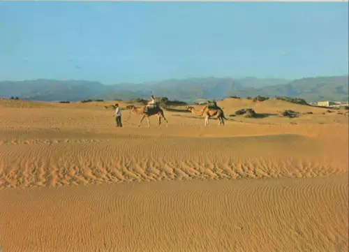 Spanien - Maspalomas - Spanien - Dunas