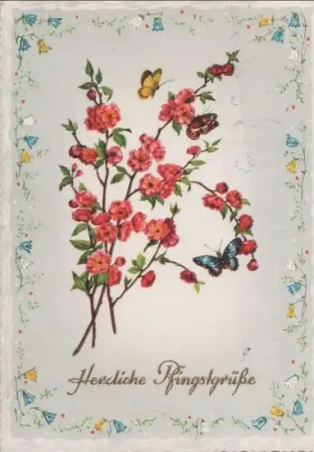 Herzliche Pfingstgrüße Blüten