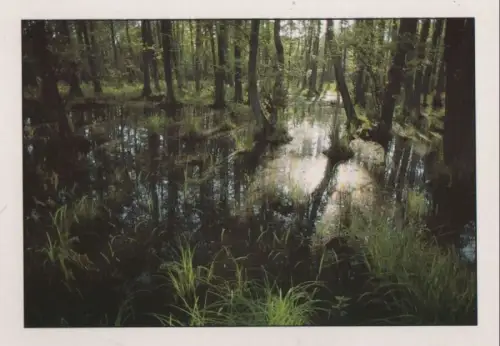 Vorpommern - Boddenlandschaft - ca. 1995