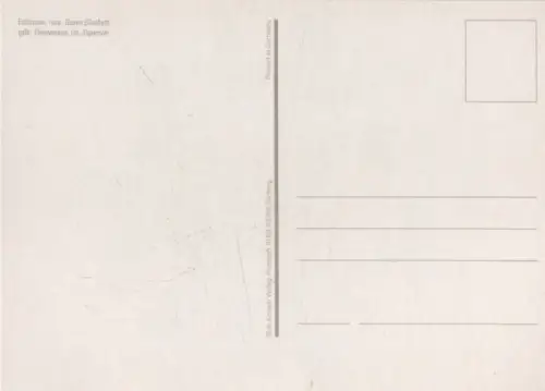 Edelrosen gebündelt