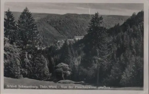 Schwarzburg - Schloß von Flaschenwiese - 1954