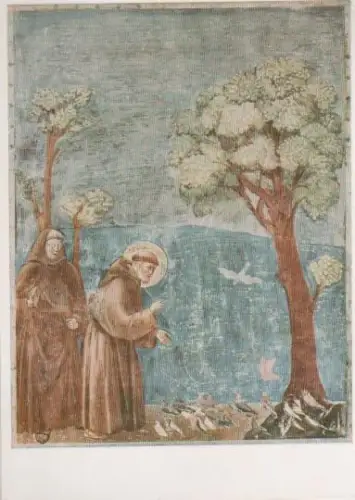 Bondone - Franziskus mit den Vögeln - 1981