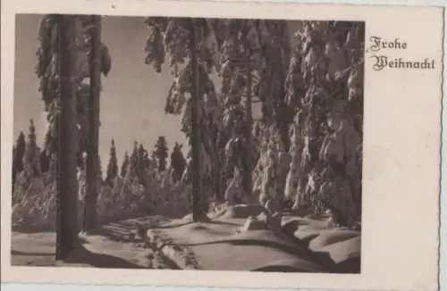 Frohe Weihnacht Wald im Winter