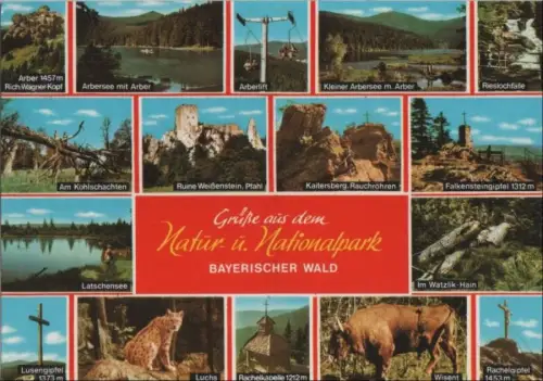 Bayerischer Wald - u.a. Kaitersberg, Rauchröhren - ca. 1980