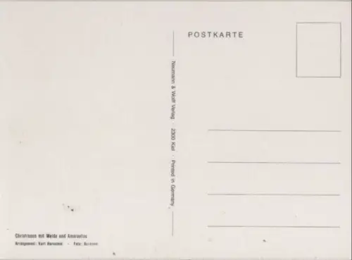 Christrosen mit Weide Arrangement