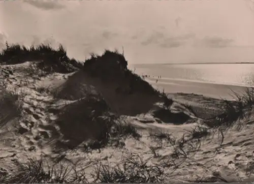 Langeoog - Dünen - 1967