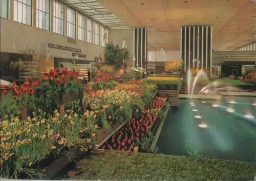 Berlin - Grüne Woche - 1966