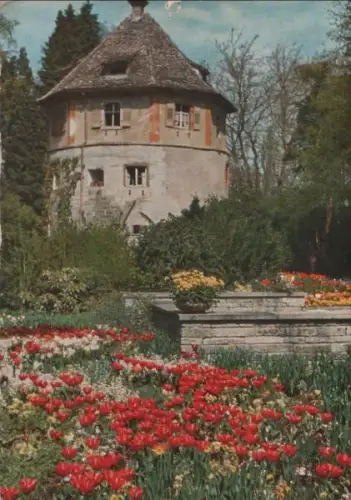 Mainau - Tulpen am alten Wehrturm - 1961