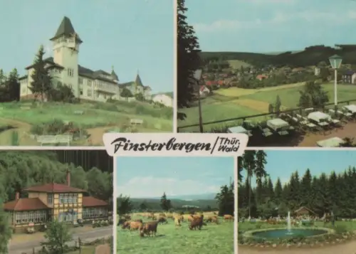 Finsterbergen - u.a. Am Rennsteig - 1967