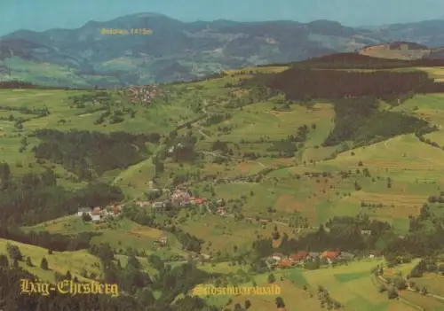 Häg-Ehrsberg Luftbild - 1993