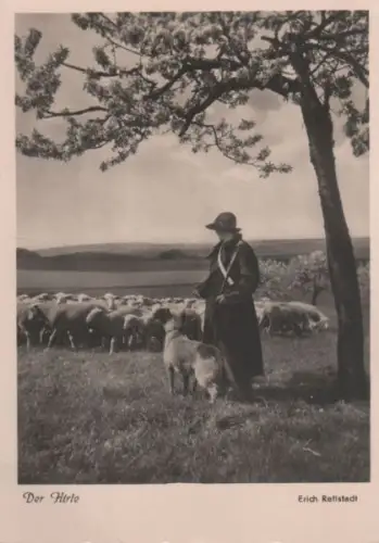 Der Hirte - 1951