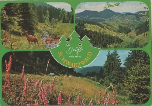 Schwarzwald - Ohlsbach - 1987